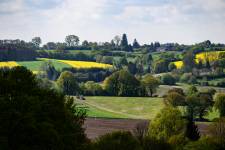 Xavier MARTINO - STUDIO MARTINO