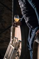 MARIA JULIA MARCHINI - MARIA MARCHINI