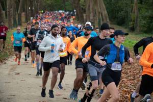 Claude BIGEON - Claude Bigeon