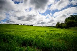 Xavier MARTINO - STUDIO MARTINO